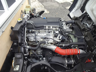 ��ɩ����ʿ�ܥǥ�