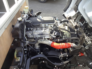 ��ɩ����ʿ�ܥǥ�